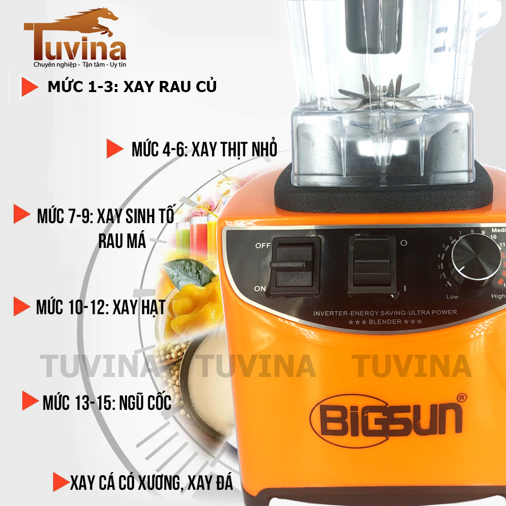 Máy xay sinh tố công nghiệp BigSun  BB-3000 - Hàng chính hãng