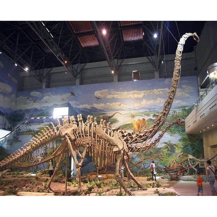 Đồ Chơi Khủng Long Cổ Dài Brachiosaurus Bằng Nhựa. Loài Khủng Long Ăn Cỏ. Trang Trí Thêm Cho Bộ Sưu Tập Của Bé Về Các Loài Động Vật Thời Tiền Sử