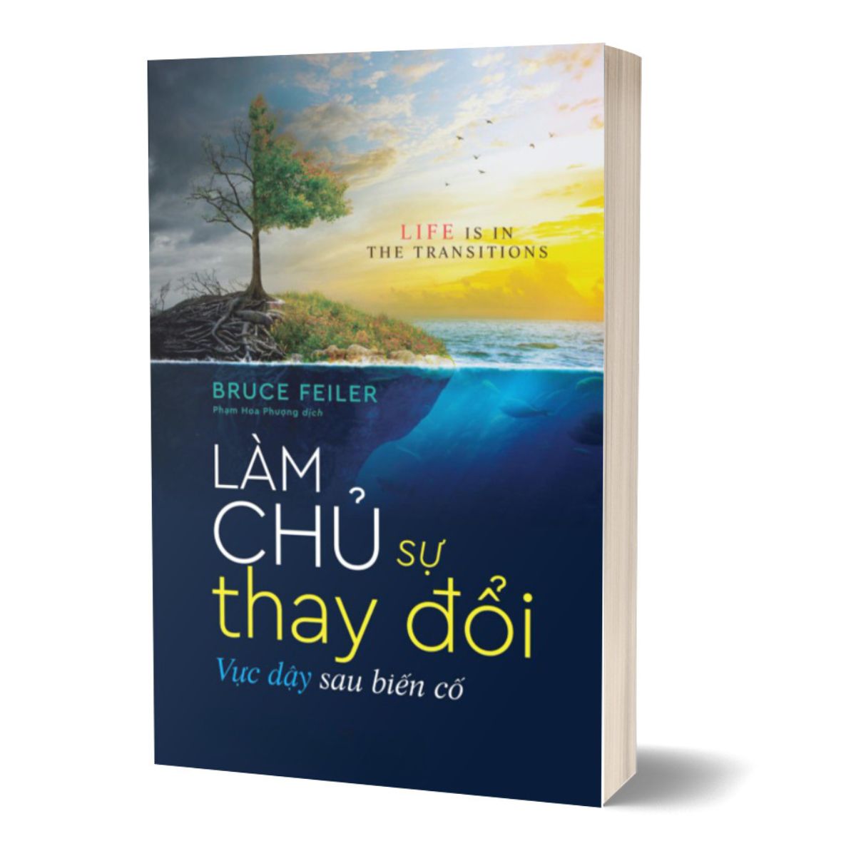 Làm Chủ Sự Thay Đổi - Vực Dậy Sau Biến Cố