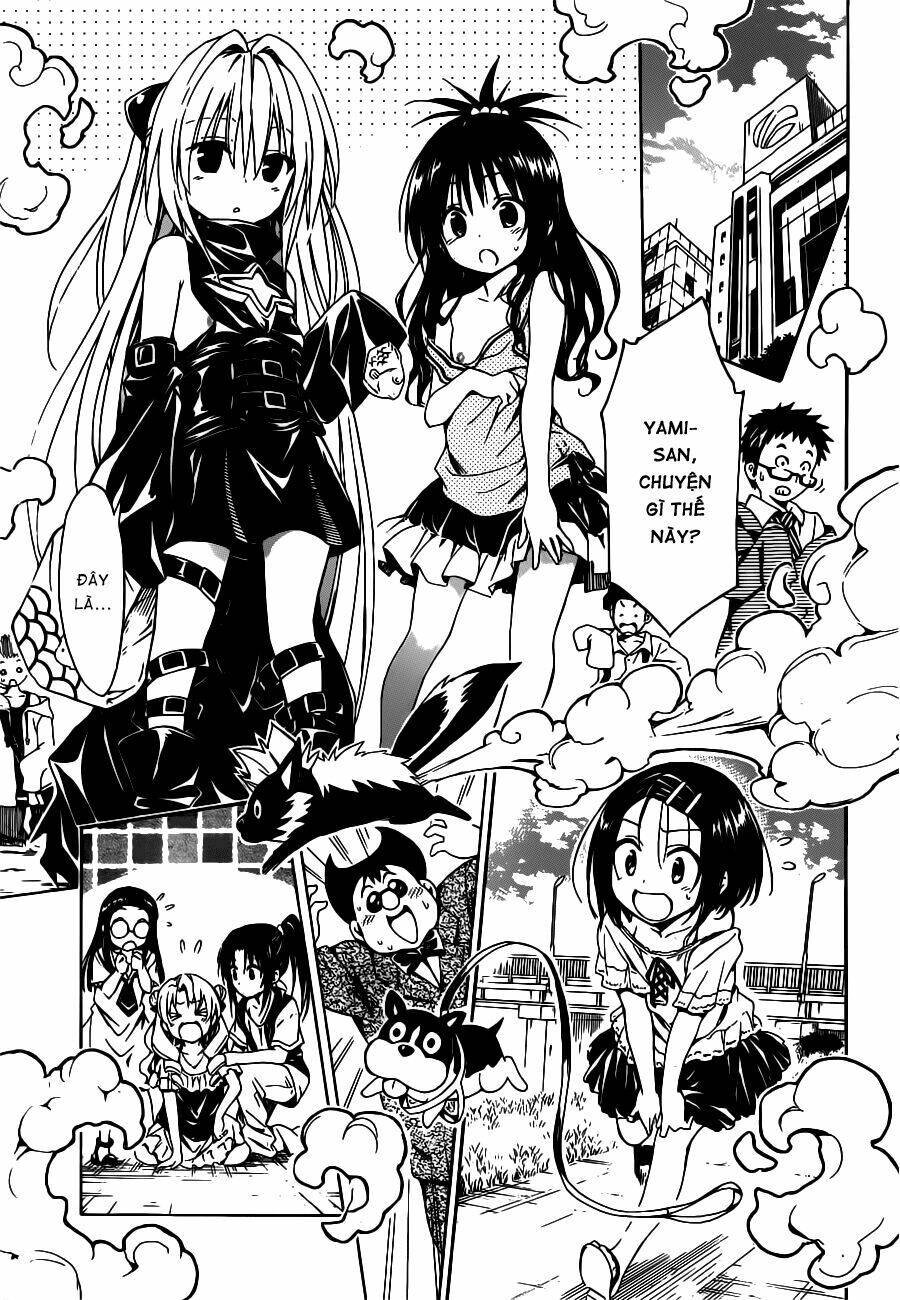 bọn tớ thích cậu! rito 2 - venus chapter 25 16