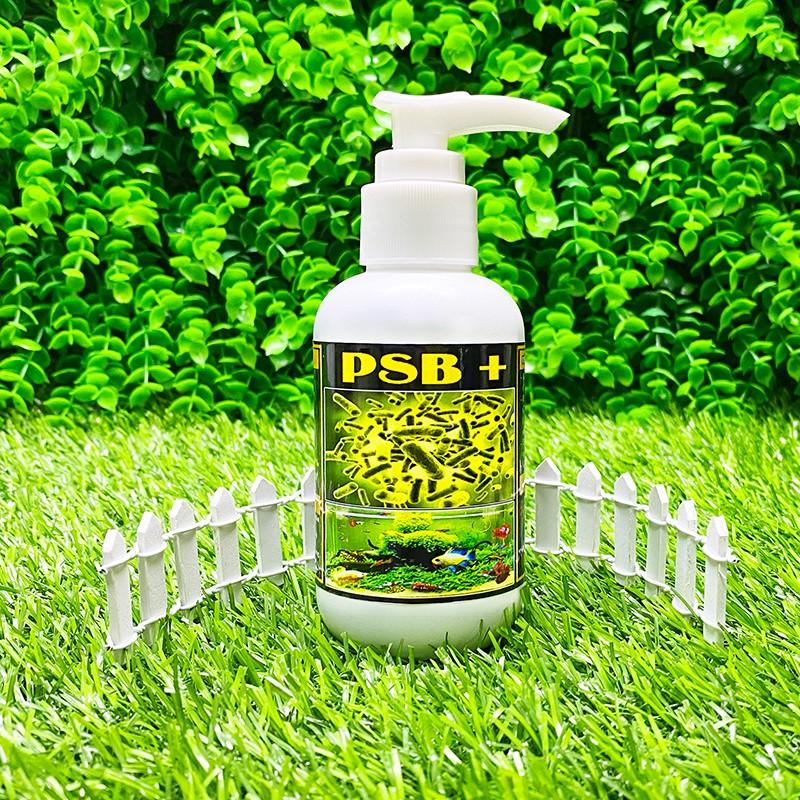 Vi Sinh PSB + Tăng 30% độ đậm đặc - Siêu làm trong nước