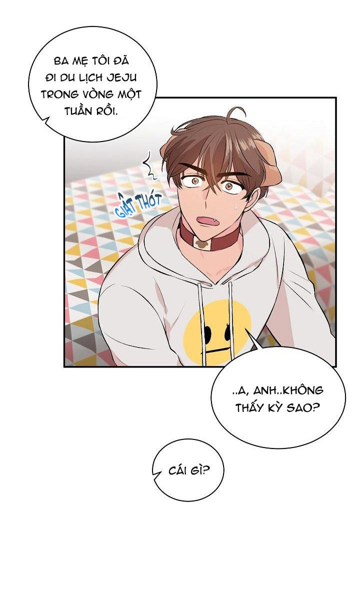 good dog , my boy chapter 1 44