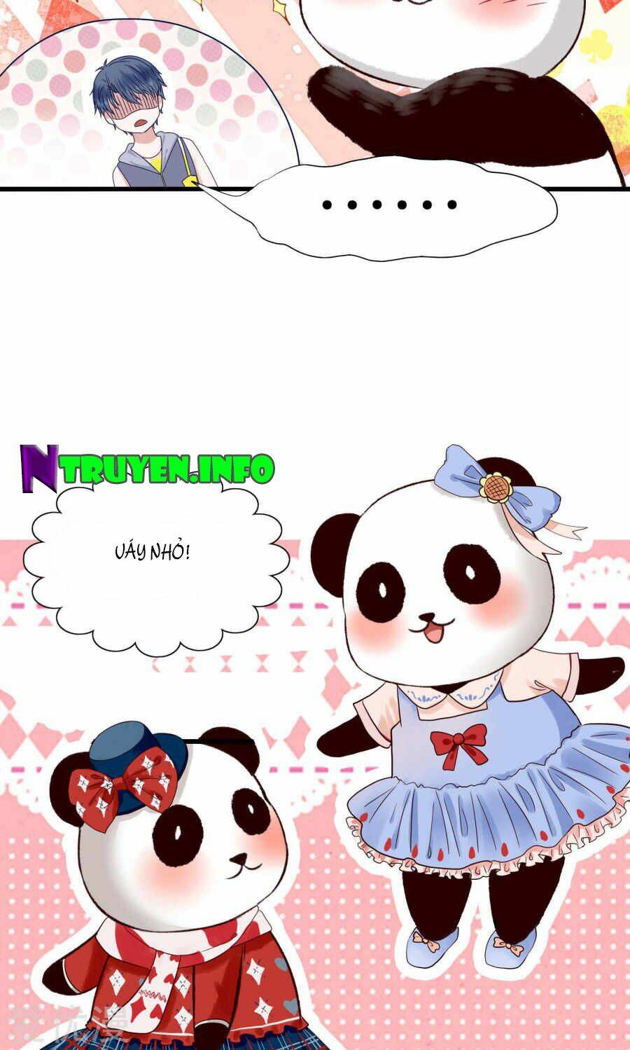 tôi bị gấu trúc nhìn trúng rồi chapter 1 11