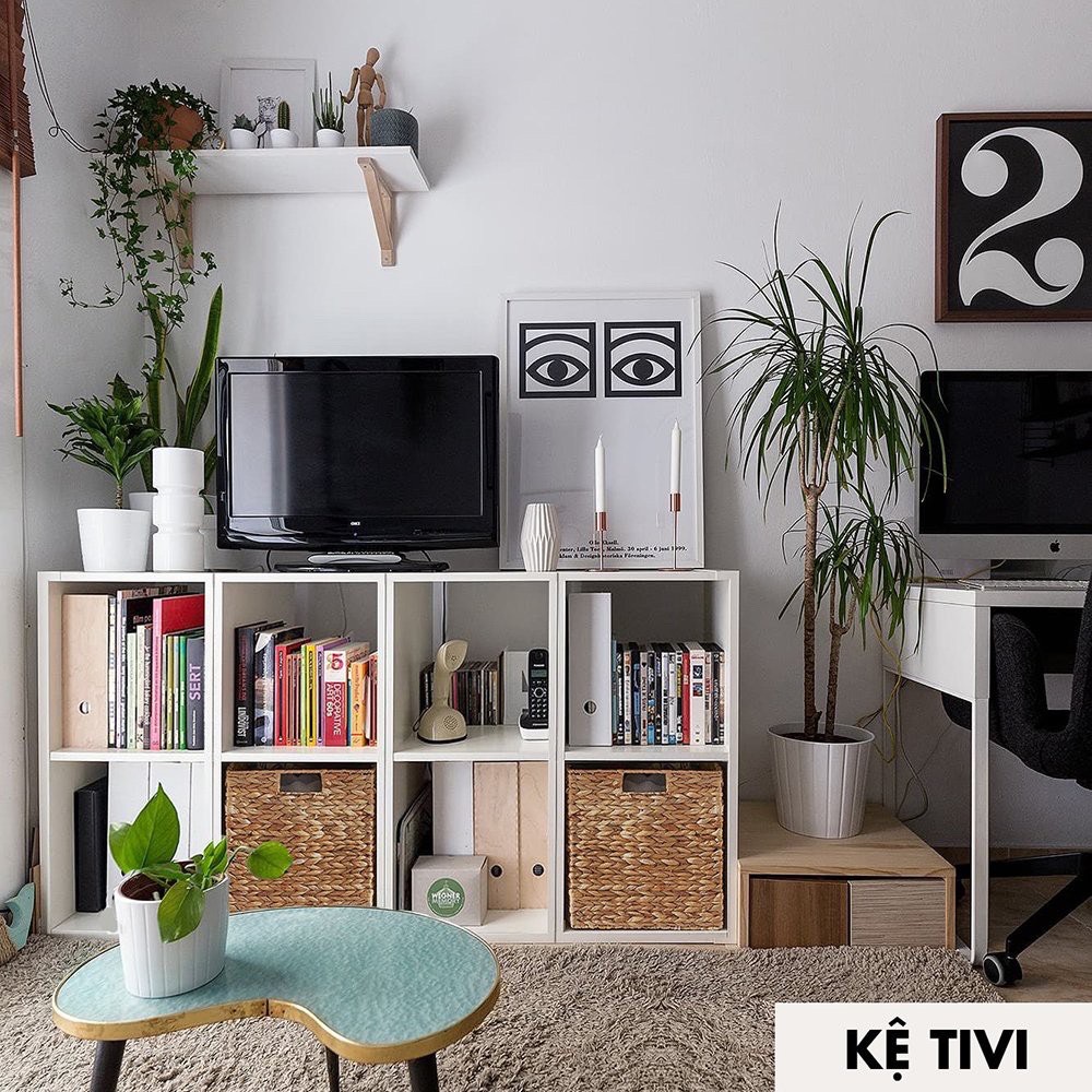 Kệ sách tổ ông kệ đa năng gỗ MDF nhập khẩu chống ẩm cao cấp phong cách tối giản hiện đại