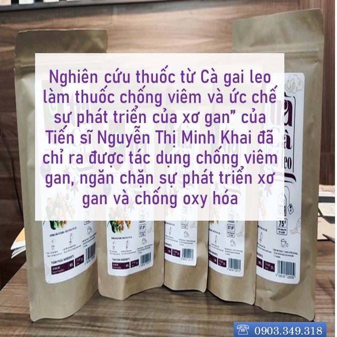 TRÀ CÀ GAI LEO Túi Zip - Delta D'Asia Giải độc gan tăng cường sức khoẻ