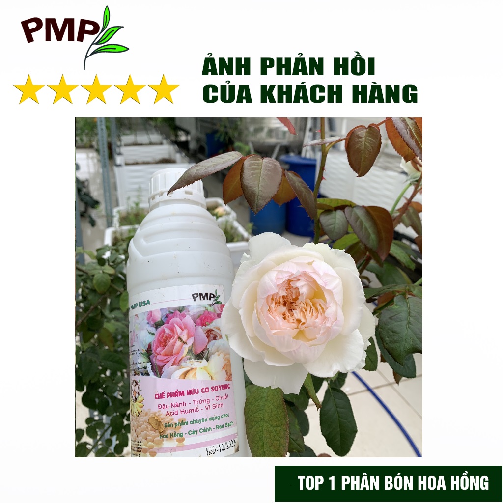 Combo 2 Chai Phân SOYMIC PMP Siêu Phân Bón Ủ Vi Sinh Từ Đậu Nành, Trứng, Chuối, Vi Lượng Cho Hoa Hồng, Rau Sạch