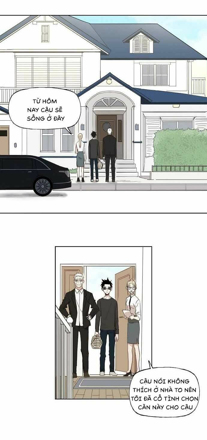 võ sĩ - the boxer chapter 11 10