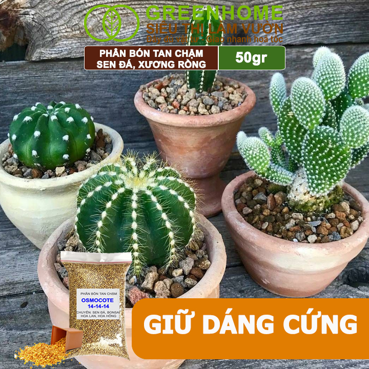 Phân Tan Chậm Greenhome, Oscomote, Bao 50gr, Chuyên Sen Đá, Hoa Hồng, Xương Rồng, Bonsai, GIúp Sen Cứng, Giữ Form, Lên Màu
