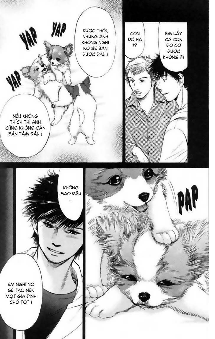 cô nàng yêu chó chapter 12 6