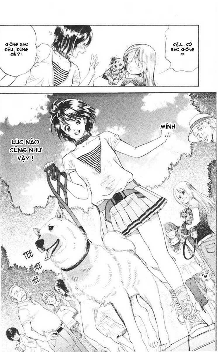 cô nàng yêu chó chapter 1 6