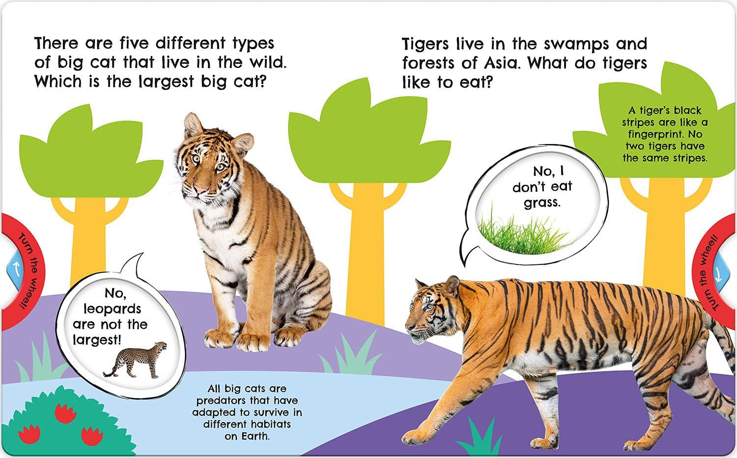 First Facts Big Cats (Turn-the-Wheel Books)