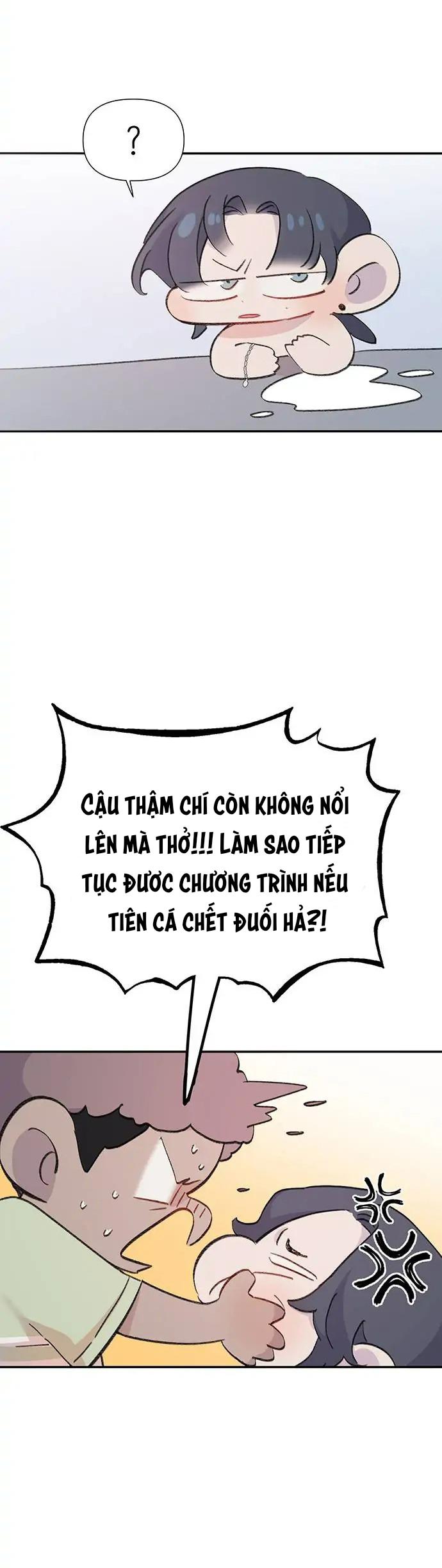 Chàng tiên cá tôi yêu chapter 1