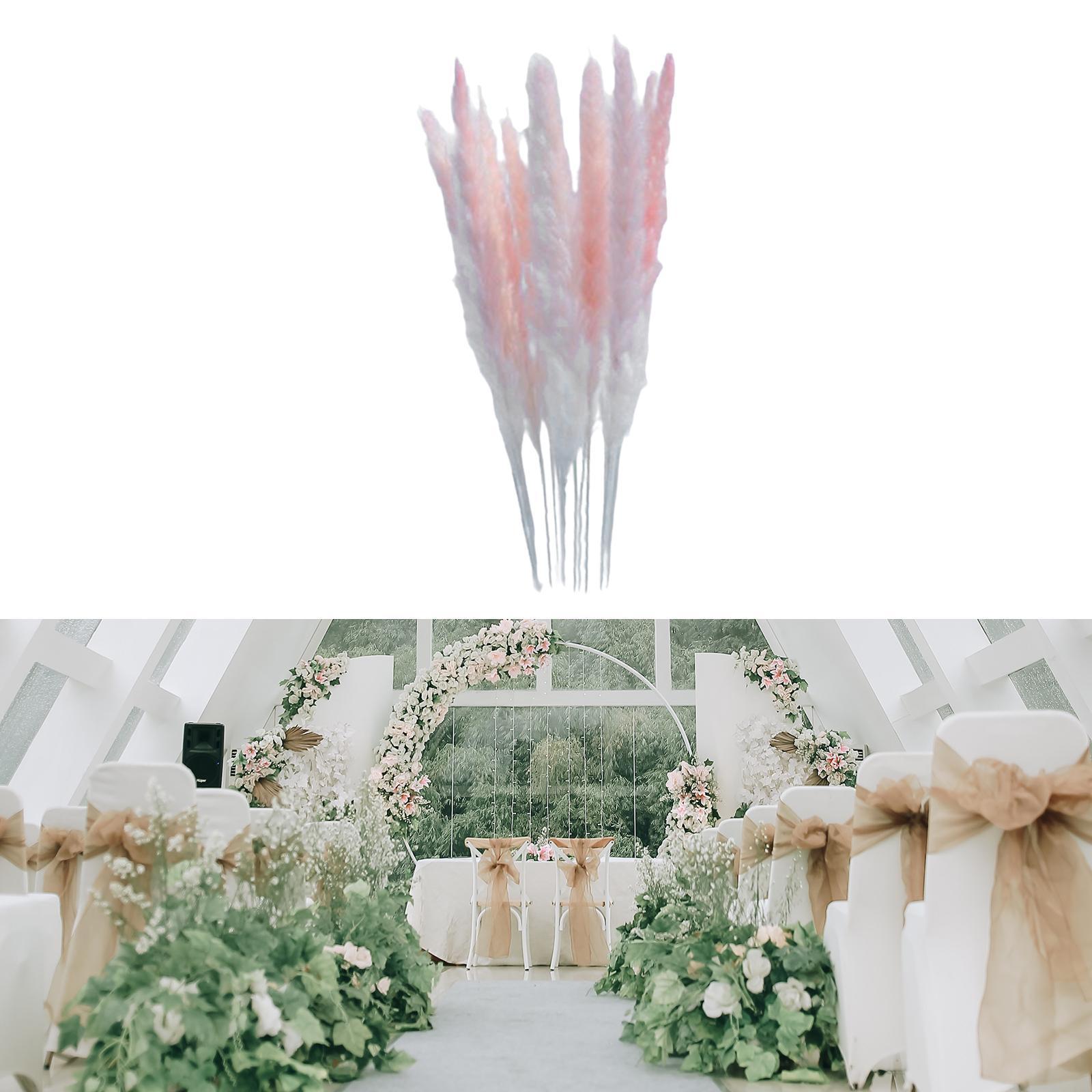 Natural Dried Pampas Grass Boho Home Decor Flower Arrangement Dried Reed Phragmites Decoration