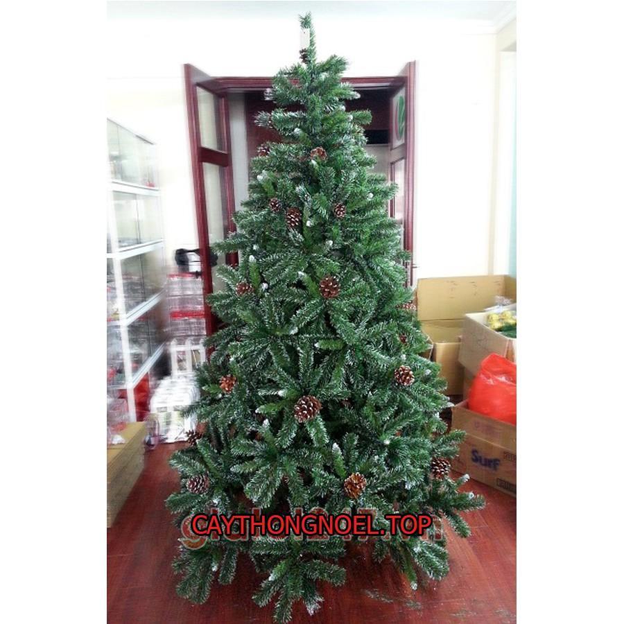 Cây thông noel 3 loại lá gắn trái thông cao 1m2 - Cây loại 3 lá dày đẹp sang trọng