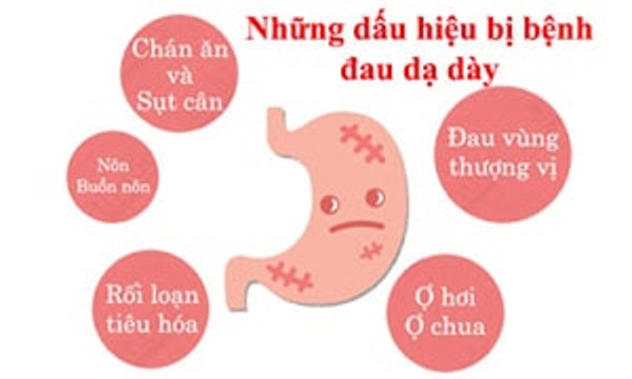 CHÈ DÂY RỪNG NGUYÊN CHẤT MẸ KEN