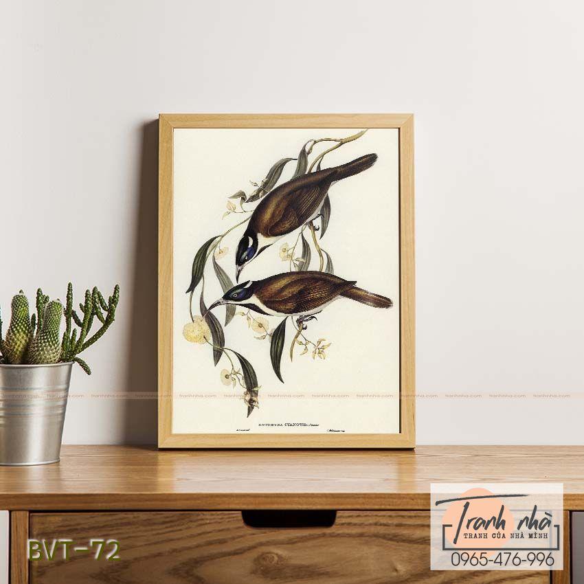 Tranh canvas vintage  - Ăn mật mặt xanh (Entomyza cyanotis) - BVT-72