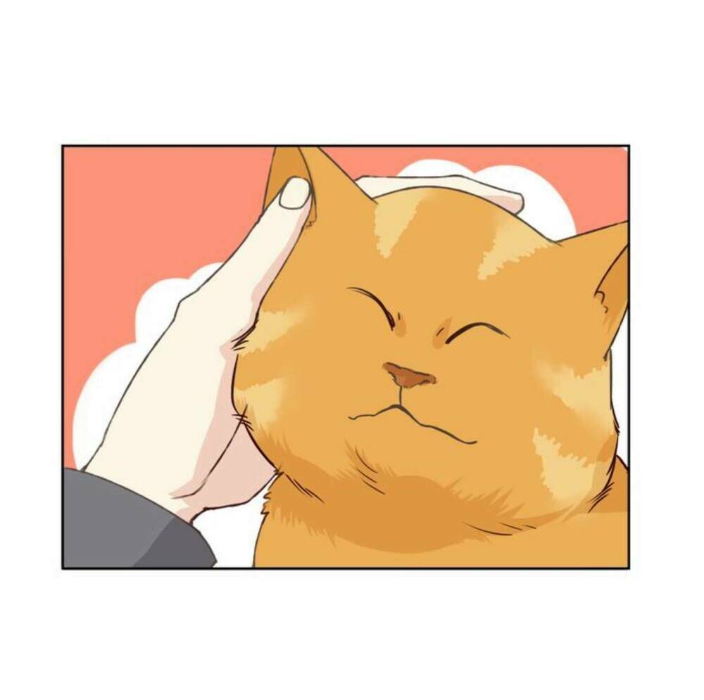 tôi không phải đa nhân cách chapter 11 31