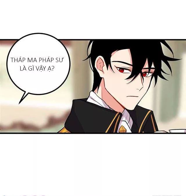 tôi là tiểu thư của gia đình này chapter 26.1 10