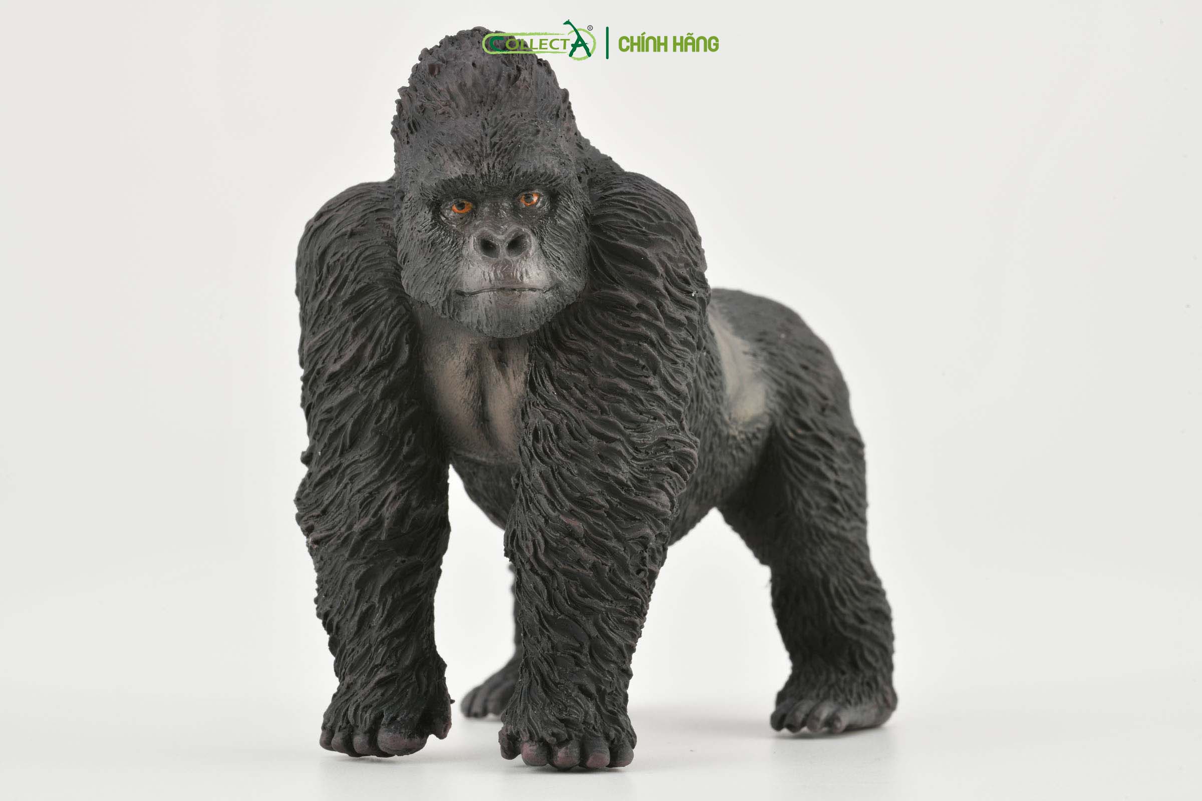 Mô hình thu nhỏ: Khỉ Đột Núi - Mountain Gorilla , hiệu: CollectA, mã HS 9651020[88899] -  Chất liệu an toàn cho trẻ - Hàng chính hãng