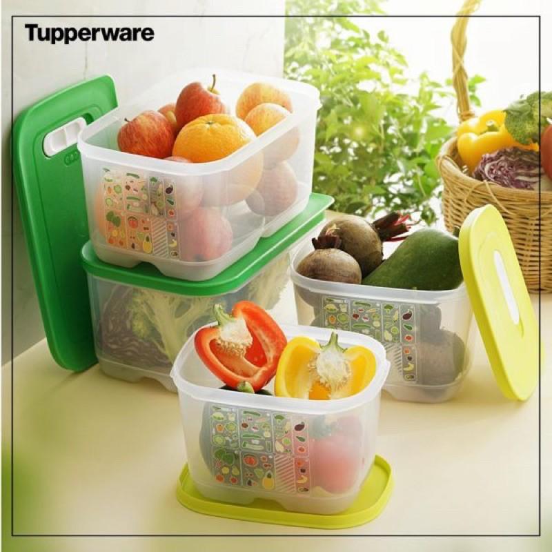Bộ hộp trữ mát Vensmart 4 hộp