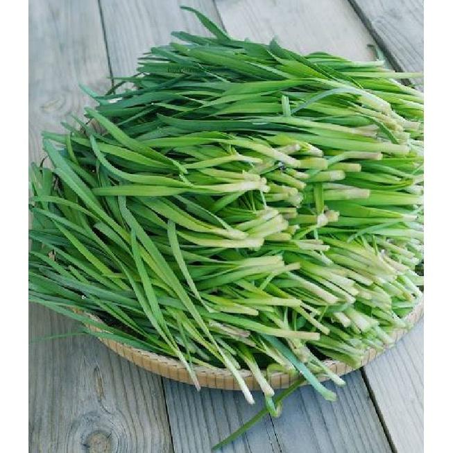 Hạt giống rau hẹ ta cao sản CT132 - Gói 2gram