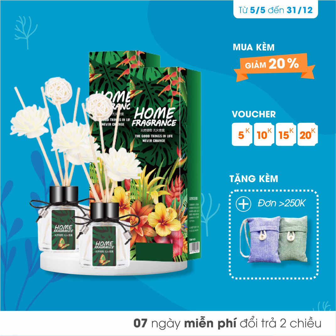 Combo 2 Set Tinh Dầu Nước Hoa Gỗ Mây Thơm Phòng ECODEALS - Khử mùi khó chịu, ẩm mốc, mồ hôi, mùi thuốc, nhà tắm...