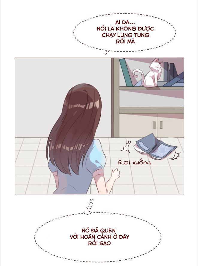 người yêu biến mất chapter 48 28