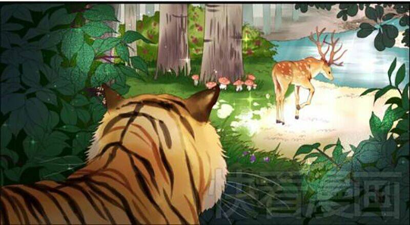 lượm được 1 tiểu hồ ly chapter 1 3