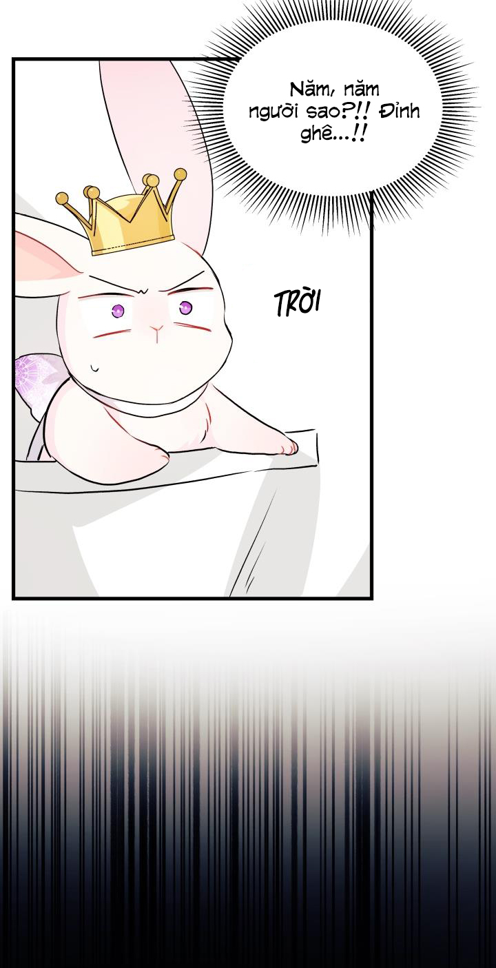 mối liên kết giữa báo đen và bé thỏ chapter 18 57