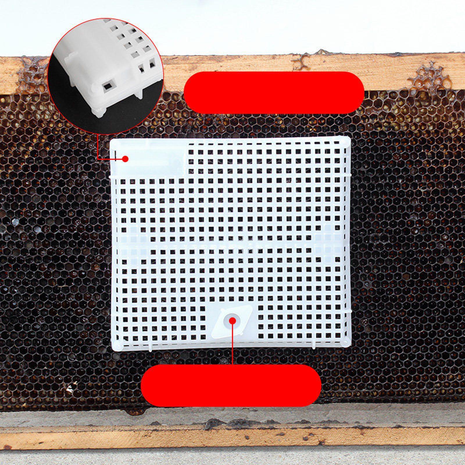 Queen Bee Isolator Introducing Cage Plastic Equipment Reusable Beekeeping