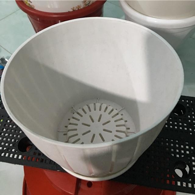 Combo 2-4 Chậu Nhựa Sọc + Tặng đế lót