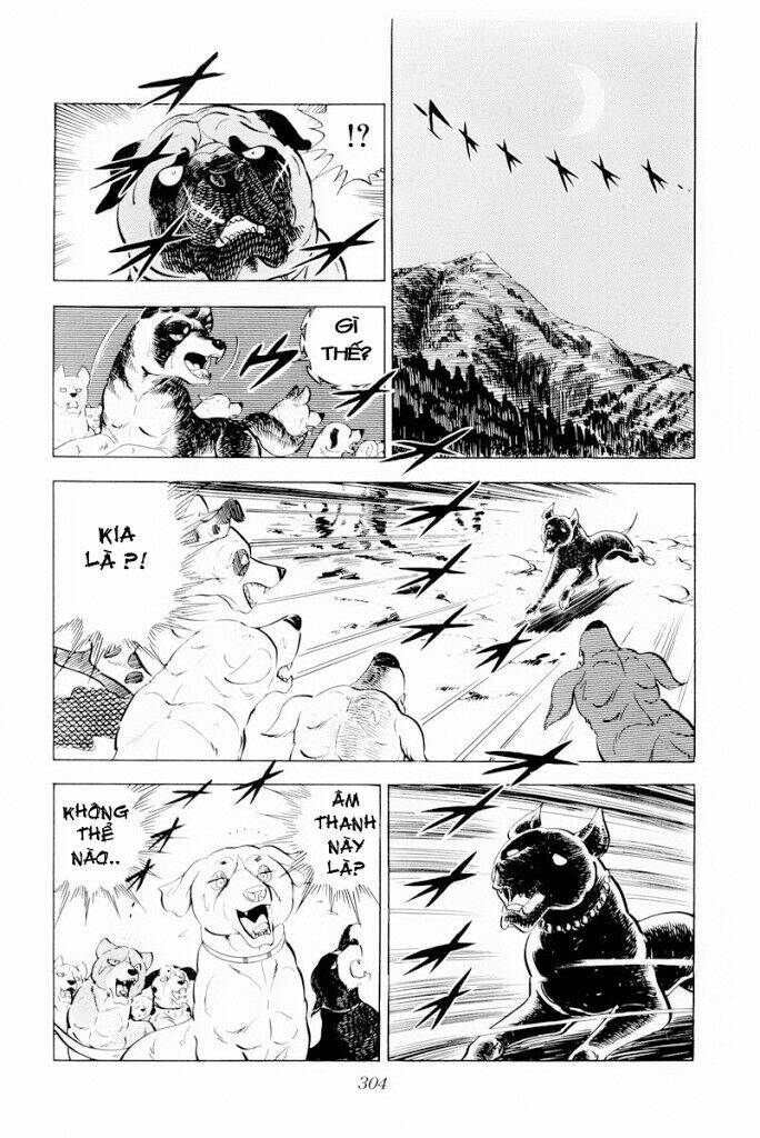 chú chó có nghĩa - ginga nagareboshi gin chapter 30.2 27