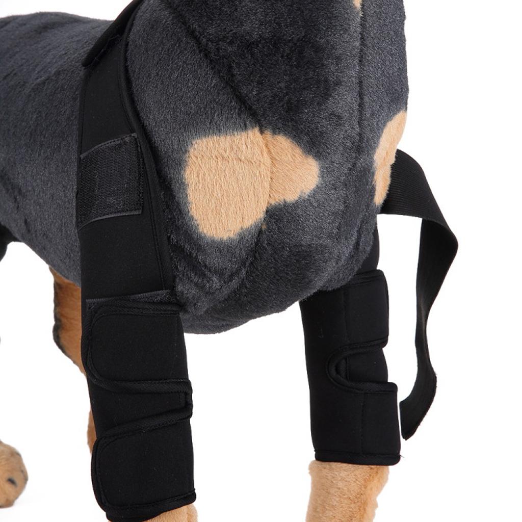 Dog Leg Brace Knee Leg Joint Protector Support Prevents Injuries and Sprains