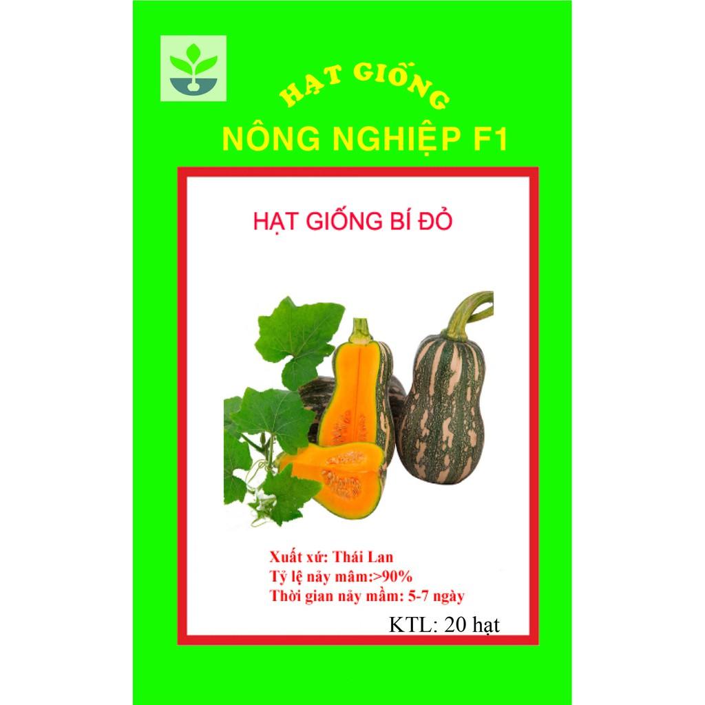 Gói 10 hạt giống bí siêu quả
