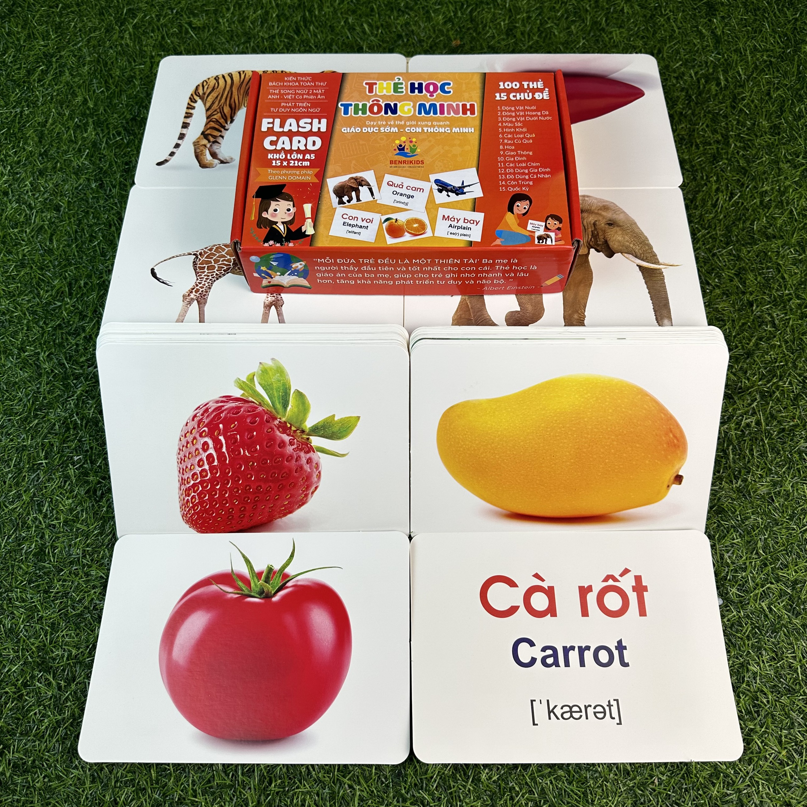 Thẻ Học Thông Minh FlashCard Cho Bé Từ 0 Đến 3 Tuổi Kích Thước Thẻ Lớn 15x21Cm Chống Lóa Không Thấm Nước 100 Thẻ 15 Chủ Đề