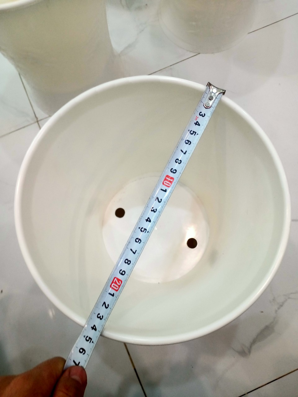 Chậu nhựa trồng cây Trúc giả sứ, trồng hoa hồng, hoa kiểng