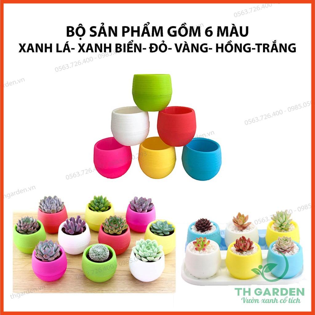 Chậu Trồng Cây Mini 7x7cm Có Đáy Trữ Nước - Chậu Hoa Đa dạng màu sắc - Trang trí nhà cửa, văn phòng tuyệt đẹp