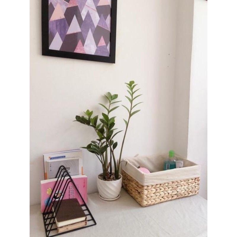 Giỏ lục bình vintage , Đựng đồ đa năng & Trang trí nhà cửa, đựng quần áo và đựng đồ chơi cho bé