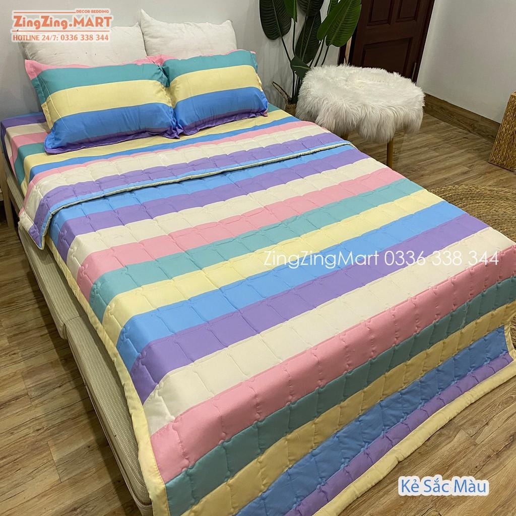 Bộ 5 Món Chăn Hè Ga Gối Kèm Vỏ Gối Ôm Poly kích thước M2/M6/M8/2M2 Mẫu Bò Xám