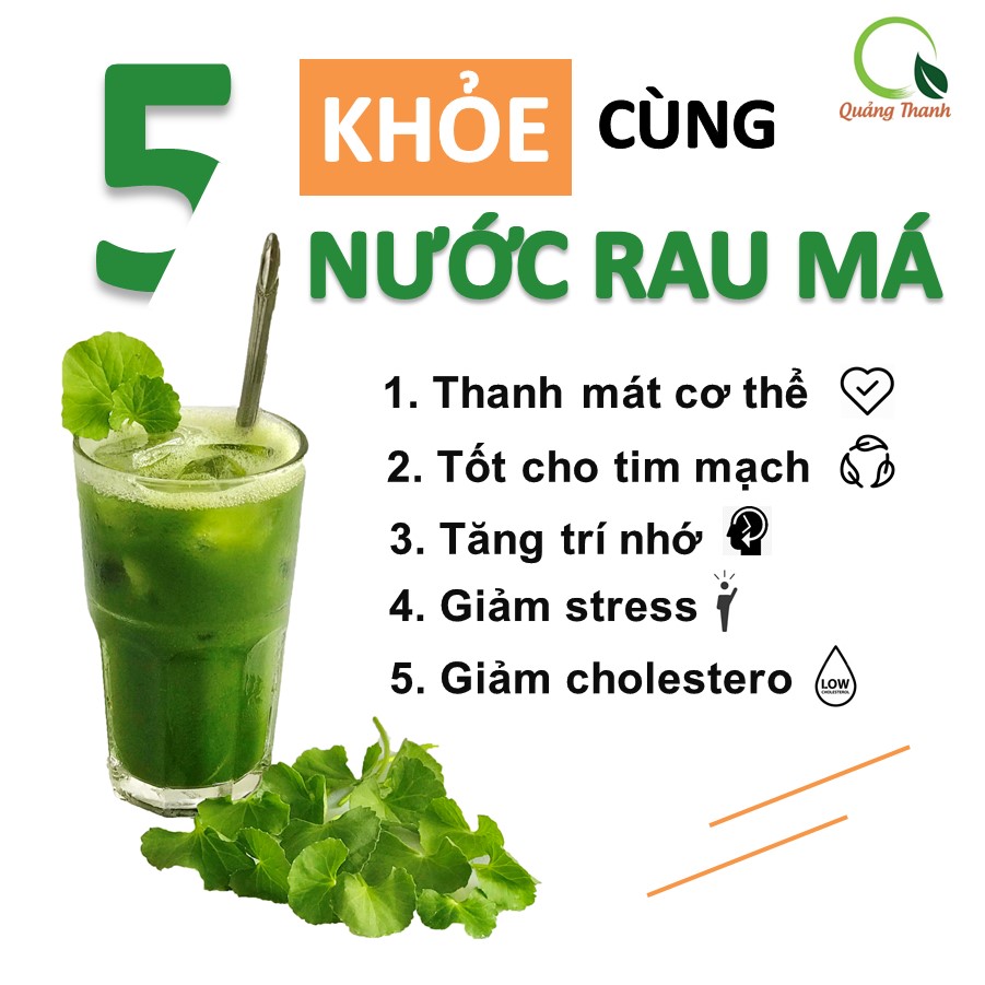 Bột rau má sấy lạnh Quảng Thanh, bịch 50gr - Giải độc, mát gan, thanh nhiệt cơ thể, giảm mụn, đẹp da