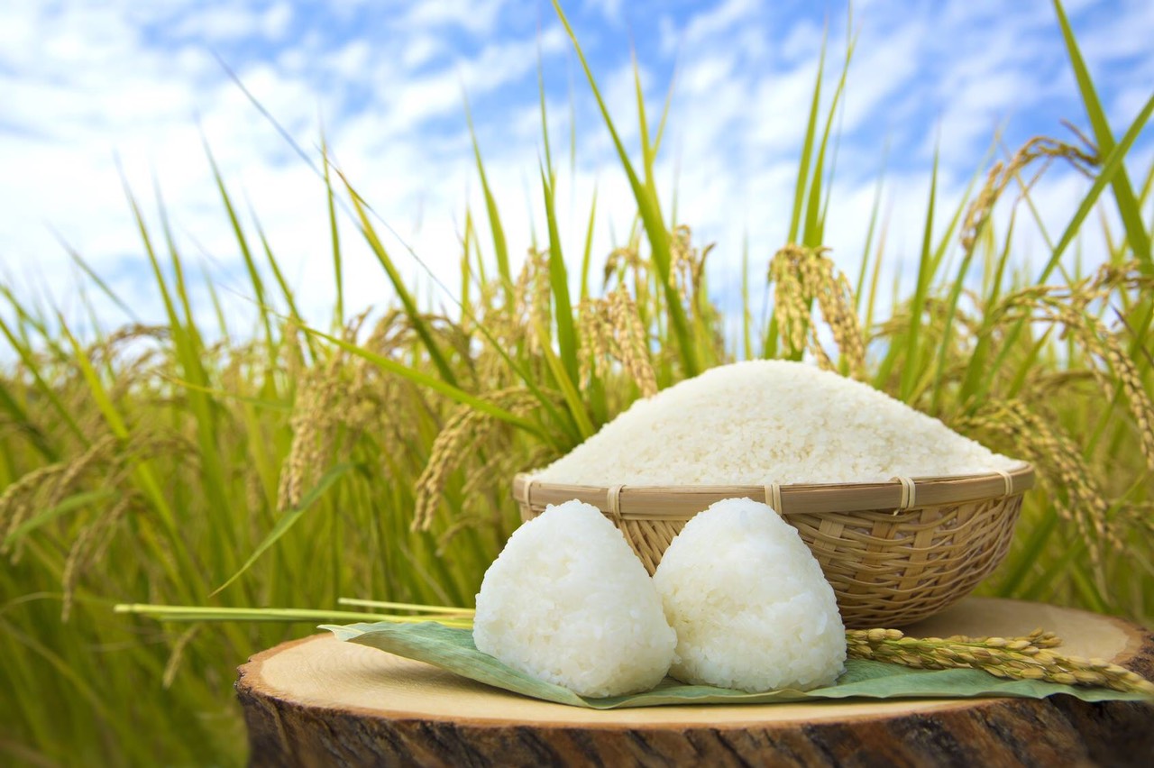 GẠO NHẬT HOKKAIDO YUMEPIRIKA-5KG