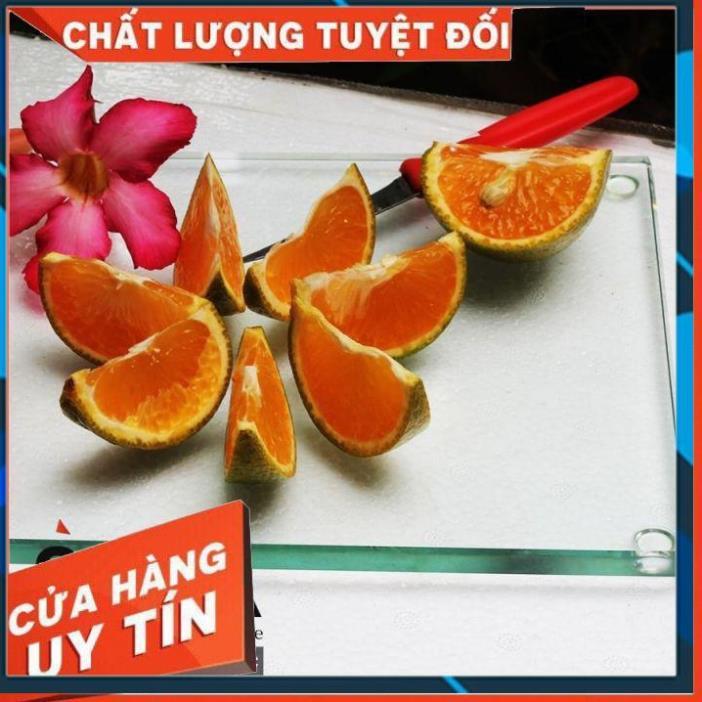 Thớt kính cường lực siêu bền SALA - hàng chuẩn loại 1