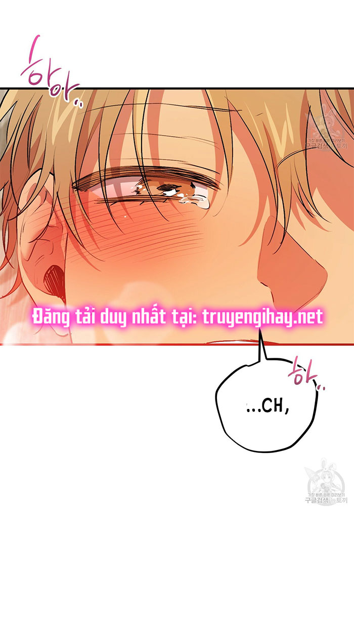 những chú thỏ của hapypy chapter 43 43