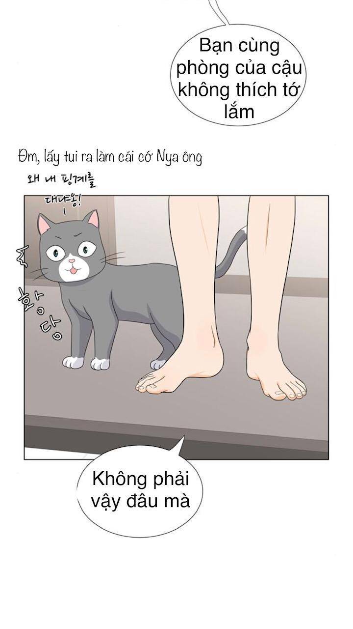 idol và sếp, em yêu ai? chapter 52 23