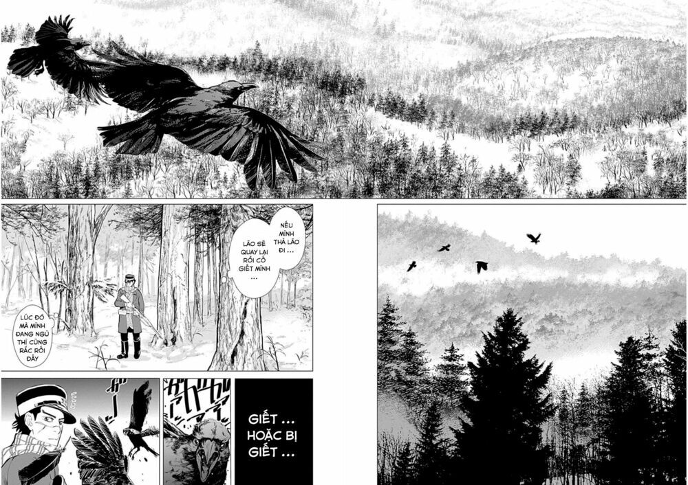 cơn sốt vàng sau chiến tranh chapter 1.1 3