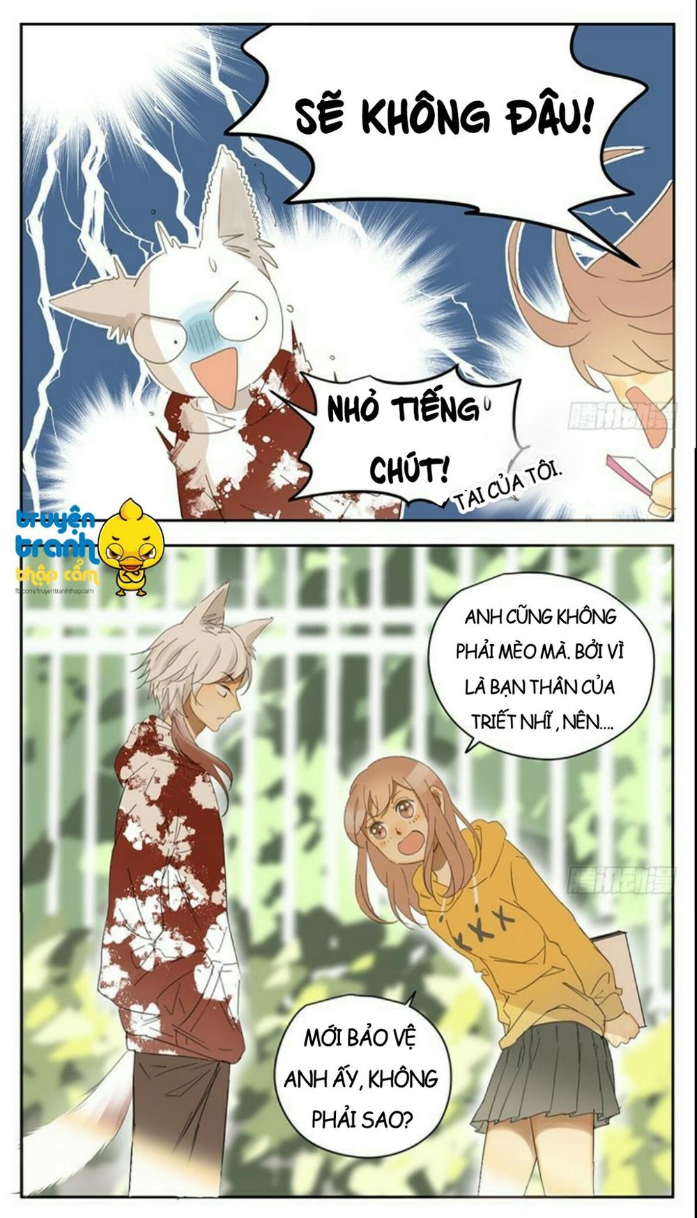 cứu mạng ! loài mèo thống trị thế giới rồi ! chapter 33 8
