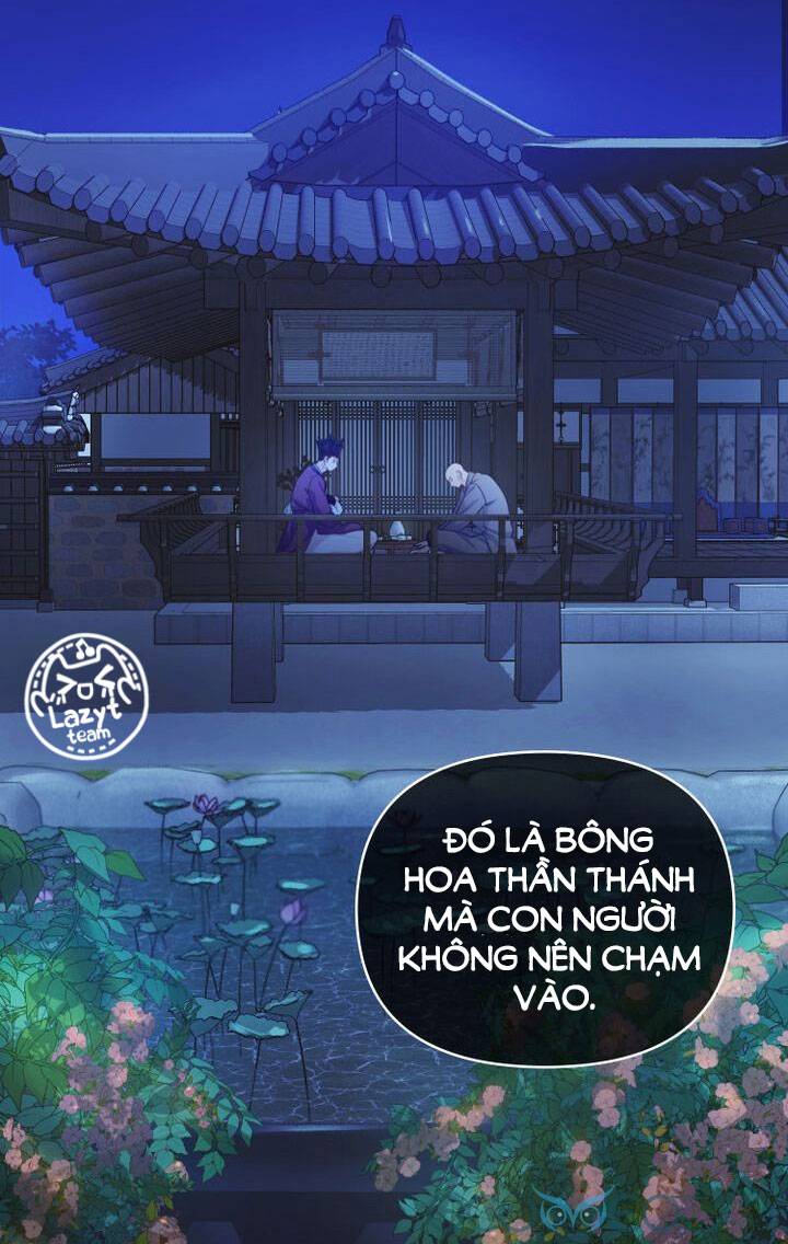 khi hoa nở chapter 1 13