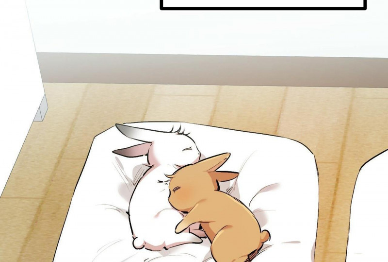 những chú thỏ của hapypy chapter 32.5 5