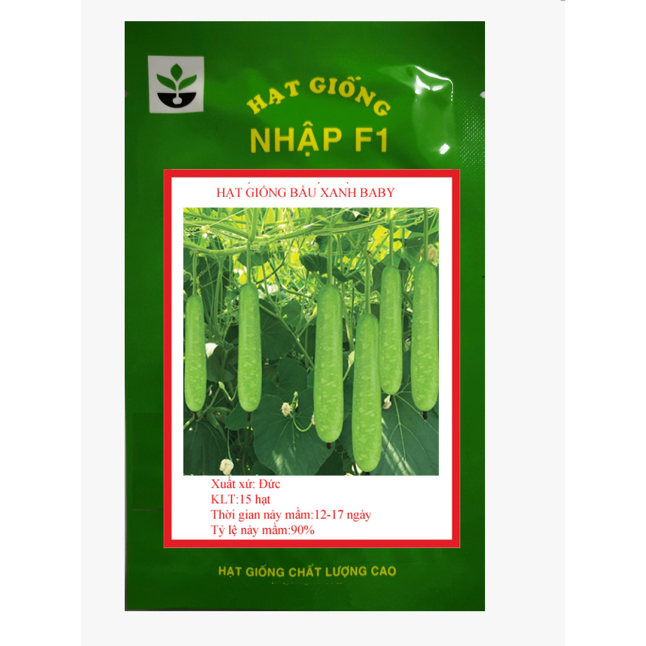 15 Hạt giống bầu xanh baby
