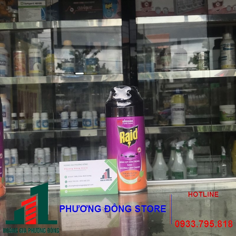 Bình xịt đuỗi muỗi Raid 300-600ml